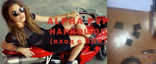 гашик Абинск